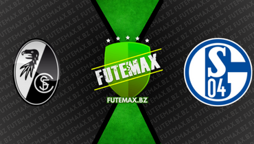 Assistir Freiburg x Schalke 04 ao vivo online 23/04/2023