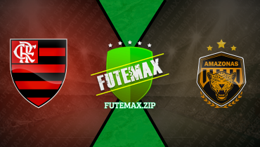 Assistir Flamengo x Amazonas ao vivo online 01/05/2024