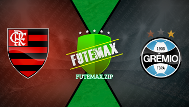 Assistir Flamengo x Grêmio ao vivo online 13/06/2024