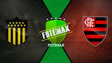 Assistir Peñarol x Flamengo ao vivo online 26/09/2024